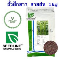 เมล็ดถั่วฝักยาว สายฝน 1 kg ตราseedline ถั่วพุ่ม ถั่วไร้ค้าง