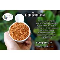 Woww สุดคุ้ม มิลเล็ตแดง Red Millet แบ่งขายขนาด 1 kg ราคาโปร อาหาร นก อาหารนกหัวจุก อาหารนกแก้ว อาหารหงส์หยก