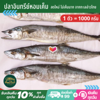 ปลาอินทรีเค็ม หอม แบบเป็นตัว ตัวละ 1000 กรัม สะอาด สดใหม่ เนื้อแน่น ไม่ใช่ของเก่า ไม่คาว รับประกันคุณภาพ ไม่เน่าเสีย พร้อมส่ง