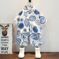 Childrens Clothing Boys Hawaii Beach Suit Childrens Summer Sanya Floral Western Style Baby Short Sleeve Shirt Two-Piece Suit