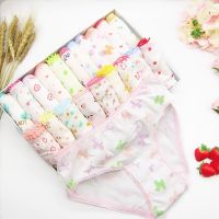 (TER)12pcs/Lot Baby Underwear Kids Panties Briefs Girls Underpants 2-12Years