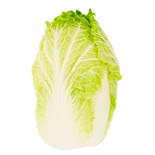 ผักกาดขาว white cabbage Lazada.co.th