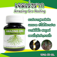 เจลเร่งราก 60 Amazing Gro Rooting Gel ใช้ได้ทันทีไม่ต้องผสมน้ำ