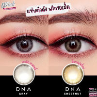 คอนแทคเลนส์?DNA? Chestnut / Gray (Wink) ขนาดบิ๊กอาย?ขายดี?