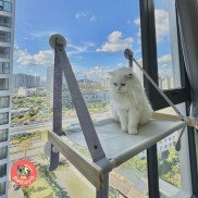 Võng Giường Gỗ Treo Gắn Cửa Sổ Cho Mèo Nằm Loại Thường - Đơn giản, Chắc