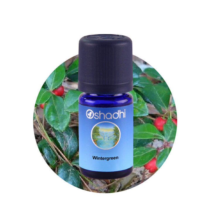 oshadhi-wintergreen-essential-oil-น้ำมันหอมระเหย-10-ml