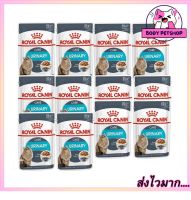 (ยกกล่อง 12 ซอง) Royal Canin Urinary Care in Gravy Wet Cat Food 85g รอยัล คานิน อาหารแมวเปียก ป้องกันนิ่ว สูตรเกรวี่ 85 กรัม