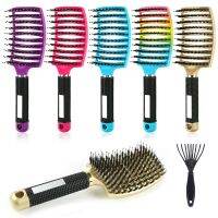 Hair Brush Hair Comb Detangling Hair Brush Bristle Nylon Women Wet Massage Comb Curly Hairdressing Salon Styling Tools