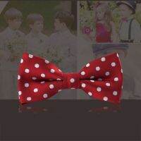 New Style Plaid Children Bowtie Polester Bowties Baby Kid Kids Classical Pet Striped Butterfly Bow tie Elk Bike Umbrella Dog Car Nails Screws Fastener