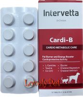 ยกกล่อง(100 เม็ด) Dr. Choice Cardi B  Intervetta อาหารเสริม บำรุงหัวใจ สุนัข แมว supplement dog cat 100 เม็ด