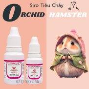 Tiêu Chảy - Ướt Đuôi Dạng Siro Cao Cấp Chuyên Dùng Cho Hamster - Thỏ - Bọ