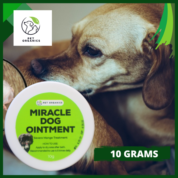 BEST SELLER!!!! Miracle Dog Ointment Cream For Dog (Healing Cream