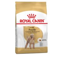 Royal Canin Poodle Adult สุนัขโต 10 เดือนขึ้นไป พันธุ์ พุดเดิ้ล