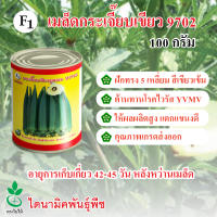 เมล็ดพันธุ์กระเจี๊ยบเขียว ลูกผสม F1 (9702) ขนาด 100 กรัม 1 กระป๋อง นำเข้าจากประเทศอินเดีย จาก ไดนามิคพันธุ์พืช Hybrid Okra seeds (9702) 100 grams imported from India by Dynamic Seeds