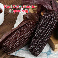 ประเทศไทยพร้อมสต็อก 20pcs เมล็ดพันธุ์ ถั่วไต Organic Red Corn Seeds การันตีอัตรางอก ปลูกได้ทั้งปี เมล็ดพืช ปลูกผัก ปลูกผัก สวนครัว ต้นไม้ ต้นไม้มงคล Red Waxy Vegetable Seeds Fruit Seeds เมล็ดพันธุ์ เมล็ดพันธุ์ผัก เมล็ดผัก บอนสีราคาถูกๆ เมล็ดบอนสีเทพๆ