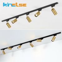 Retro LED Track Lamp Luxury Gold GU10 Surface Mounted Rail Ceiling System Living Room Clothes Store Track Spot Lighting Fixtures