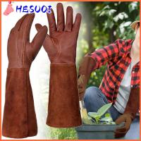 HESUOI หลอดยาวสำหรับหลอด ถุงมือทำสวนสำหรับเด็ก เครื่องหนังแท้ กาแฟและกาแฟ ถุงมือตัดแต่งกิ่ง เครื่องมือเครื่องมือช่าง ป้องกันหนาม ถุงมือทำสวนสำหรับทำสวน สวนในสวน