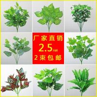 [COD] fake green plant fern grass wedding flower art background wall arrangement decoration leaves dill money