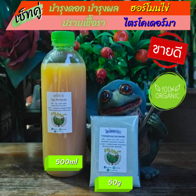 เซ็ทคู่ ฮอร์โมนไข่ 500ml เชื้อราไตรโคเดอร์มา 50g ฮอร์โมนไข่ต้นไม้ ฮอร์โมนไข่สำหรับเห็ด ฮอร์โมนไข่รดต้นไม้ รากเน่า รากเน่าโคนเน่า รากเน่า