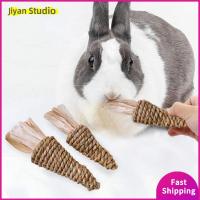 JIYAN2866 Grinding Teeth Supplies Squirrel Guinea Pigs Chinchilla Hamster Sweet Bamboo Pet Chew Toys Rabbit Snacks Molar Tool