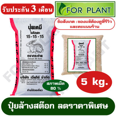 ปุ๋ย สูตร 15-15-15 ตรากระต่าย/CT เเบ่บรรจุ 5 กิโลกรัมปุ๋ยผักสวนครัว ผักสลัด ปุ๋ยใส่หญ้า เร่งโต บำรุงต้น ใบ ดอก ผล(เม็ดปุ๋ยจริงตามรูป