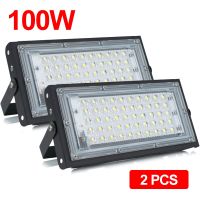 {SUXU CAR}ไฟฟลัดไลท์50W 100W LED Foco LED Exทวารหนักสปอตไลท์กลางแจ้งแสง220V LED สปอตไลท์ IP65ไฟถนนสำหรับบ้านกลางแจ้ง