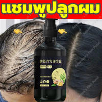 ZHENXIU แชมพูแก้ผมร่วง 300ml แก้ผมมัน ฟื้นฟูผมแห้งเสียให้เส้นผมสลวยเรียบลื่น บำรุงรากผม ป้องกันผมร่วง ให้ผมแข็งแรงไม่ขาดหลุดง่าย(แชมพูสมุนไพรขิงบำรุงผม ยาสระผมแก้ร่วง ยาสระผมเร่งยาว แชมพูปลูกผม แชมพูขจัดรังแค แชมพูขิง ขิงบำรุงถึงราก)