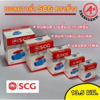 ว้าววว วาล์ว SCG 1 นิ้ว สีฟ้า คุ้มสุดสุด วาล์ว ควบคุม ทิศทาง วาล์ว ไฮ ด รอ ลิ ก วาล์ว ทาง เดียว วาล์ว กัน กลับ pvc