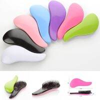 【CC】 Handle Detangling Comb Shower Hair detangler Styling Tamer Exquite useful Hairbrush Wholesale