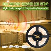 hot【DT】 5V Under Cabinet Lamp USB Sensing Strip Wardrobe
