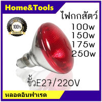 หลอดอินฟาเรดหนา กกหมู กกไก่ กกสัตว์เลี้ยง 100w 150w 175w 250w ขั้วE27