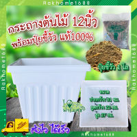 เซ็ตกระถาง+ปุ๋ยขี้วัว ? ( กระถาง 3ใบ + ปุ๋ยขี้วัว 1โล ) ขี้วัวแท้100%  กระถางสี่เหลี่ยม กระถางปลูกต้นไม้ กระถางพลาสติก