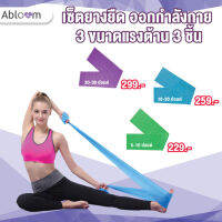 BEGINS ยางยืดออกกำลังกาย Flexband, Resistance Yoga Band