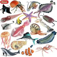 Oenux Sea Life สัตว์ Anomalocaris Opabinia ปลาดาวปู Nautilus กุ้งปลารุ่นตัวเลขการกระทำ PVC Miniature ของเล่นเด็กของขวัญ