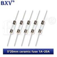 10PCS 5x20mm 5*20 Ceramic Fuse Slow Blow Tube Fuse With A Pin PUMUDDSY 250V 1A 2A 3.15A 4A 5A 6.3A 10A 15A 20A WATTY Electronics