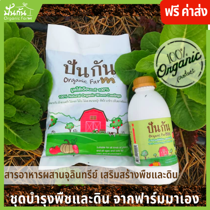 ฟรีค่าจัดส่ง-ชุดฟื้นฟู-มูลไส้เดือน-1กก-น้ำหมักชีวภาพ-เข้มข้นจากมูลไส้เดือน-ขนาด-1ลิตร-แถมฟรี-เมล็ดพันธุ์ผัก-บำรุงพืช-ฟื้นฟูดิน