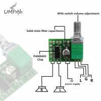 Limited Time Discounts PAM8403 5V Power Audio Amplifier Board 2 Channel 3W W Volume Control / USB Power