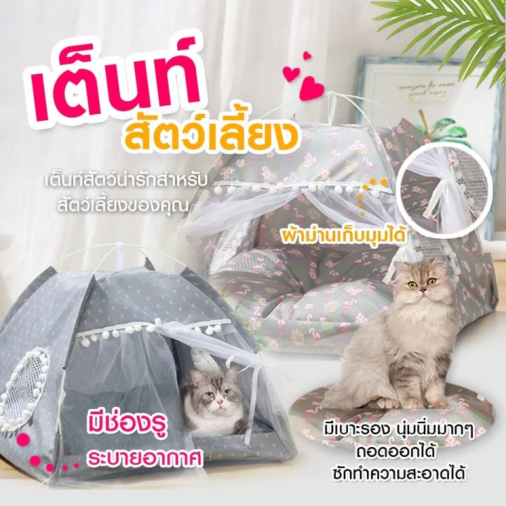 เต็นท์แมว-ที่นอนแมว-บ้านแมว-บ้านหมา-เบาะนอนสุนัข-เตียงสุนัข-แมว-หมา-สัตว์เลี้ยง-บ้านสุนัข-บ้านแมว-เต้นท์-เต๊นแมว-จากไทย