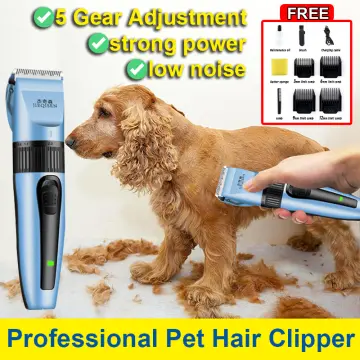 Lazada razor hotsell for dogs