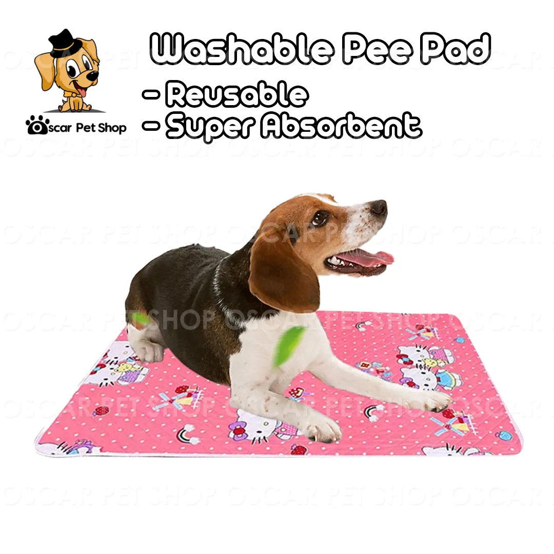 Why Does My Dog Miss The Pee Pad