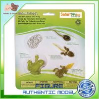 Safari Ltd. : SFR269129 โมเดลวงจรชีวิตกบ Life Cycle of a Frog Model Action Figure Cartoon แอกชั่น ฟิกเกอร์ ของเล่น ของสะสม ของเล่นเด็ก ตุ๊กตา Mamy and Buddy