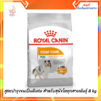 ?ล็อตใหม่ พร้อมส่ง ลด 50% ? Royal Canin โรยัล คานิน อาหารสุนัขแบบเม็ด สูตรบำรุงขนเป็นพิเศษ สำหรับสุนัขโตทุกสายพันธุ์ 8 kg เก็บเงินปลายทาง