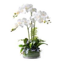 【cw】White Phalaenopsis Orchid Real Touch Flower Artificial Flower Wedding Orchid Floral Home Decoration Party - INDIGO ！