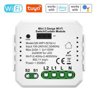 【YD】 Zigbee WiFi Curtain 2 Gang Module On-off Controller Circuit