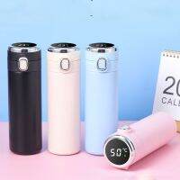 420Ml Stainless Steel Thermos Bottle Smart LED Temperature Display Thermal Water Bottle Vacuum Flask Coffee Thermal Mug Insulate