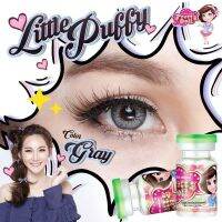 Little Puffy Gray มินิ สีเทา เทา ทรีโทน ตาฝรั่ง Pretty Doll คอนแทคเลนส์ Contact Lens Mini ฝาเขียว ค่าสายตา สายตาสั้น