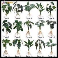 พืช Hydroponic ของประดิษฐ์ตกแต่งบ้านเครื่องประดับตั้งโต๊ะของขวัญจาก LEMMRE มีรากจำลองผนังพืชสีเขียว