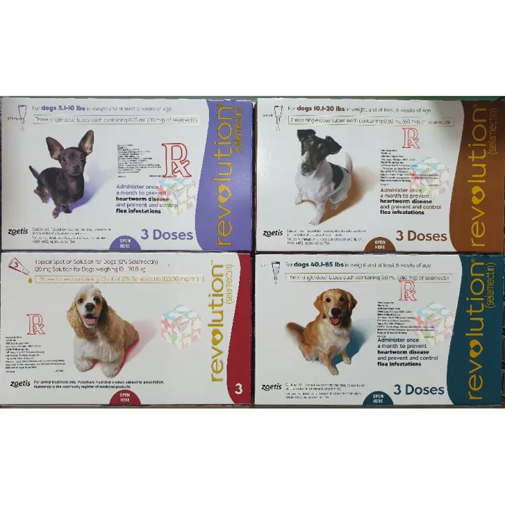 Does Revolution Kill Ticks On Dogs