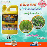 กำจัดหญ้าคาแทนกรัมม็อคโซน ชื่อคายีซาเรสขนาด 4000cc.(glufosinate-ammonium)หญ้านกสีชมพู หญ้าตีนกา หญ้าตีนติด ไมยราบเลื้อย ฆ่าหญ้า ใบแคบ ใบกว้าง