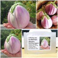 #Pro ดี! เมล็ดพันธุ์ มะเขือโรซ่า เบียนคา (Rosa Bianca Eggplant Seed) บรรจุ 50 เมล็ด คุณภาพดี ถูก Wow สุด